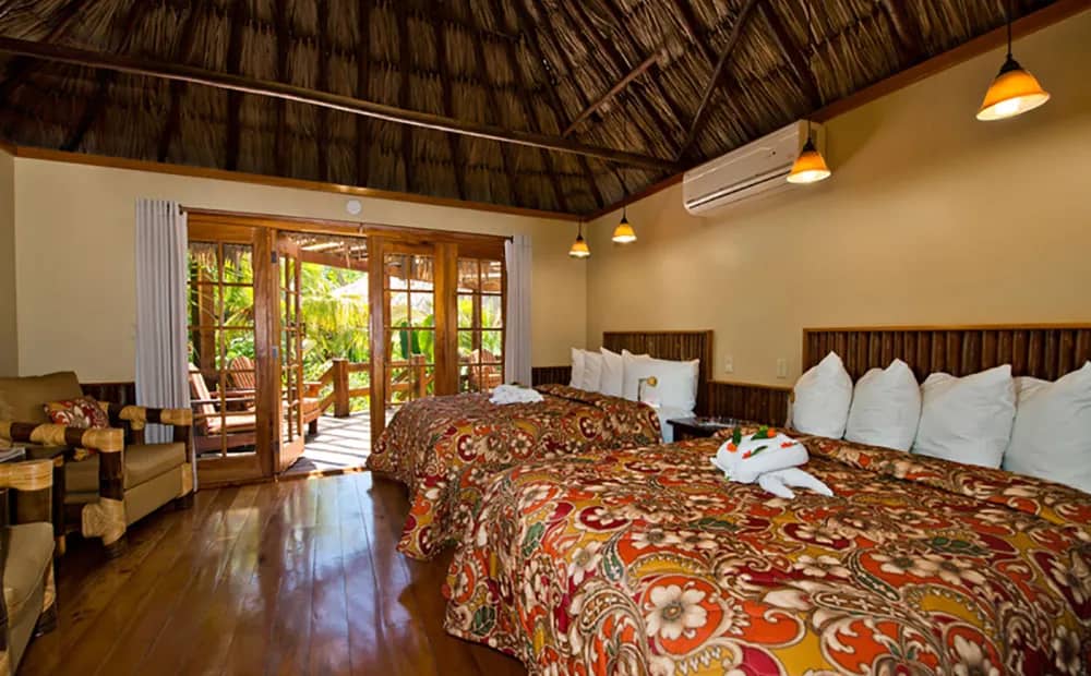 Jungle Deluxe - image