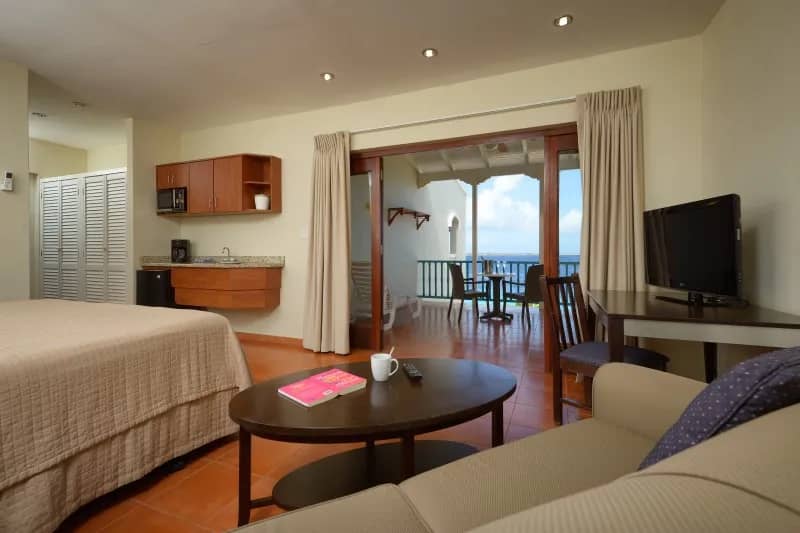 Deluxe Junior Suite - image