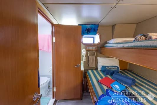 Turks & Caicos Aggressor II Twin Cabin - image