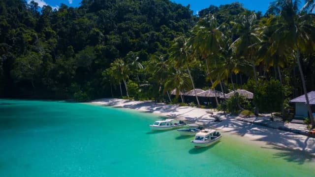 Triton Bay Divers Special November 2025