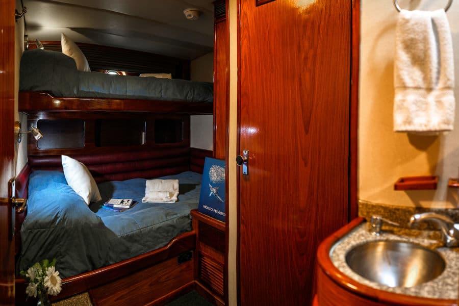 Superior Stateroom Lower Deck - image