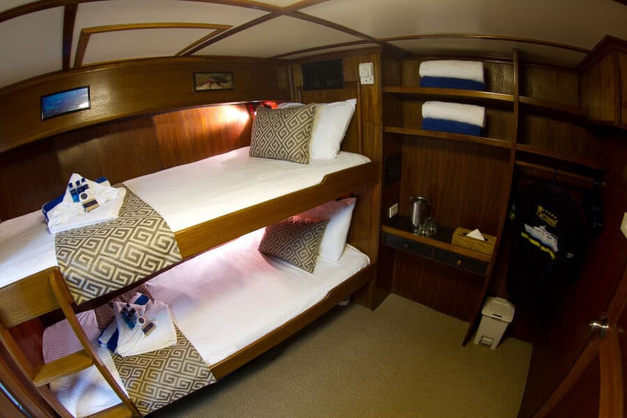 Budget Cabin Lower Deck - image