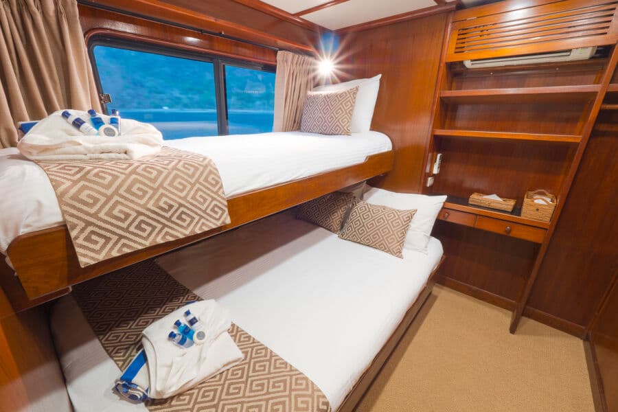 Deluxe Main Deck - image