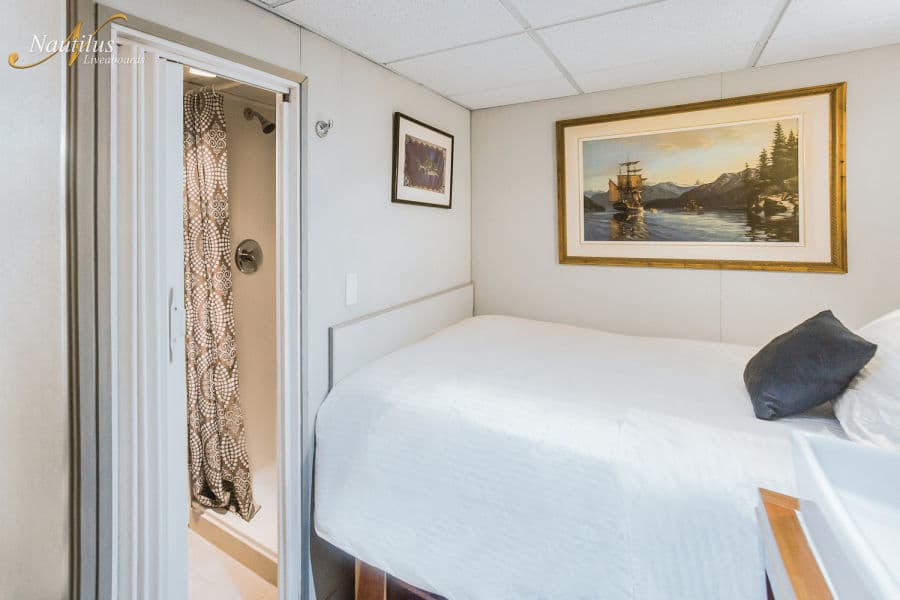 Single Stateroom Lower Deck - image