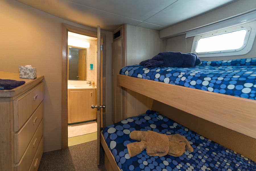 Stateroom Lower Deck - image