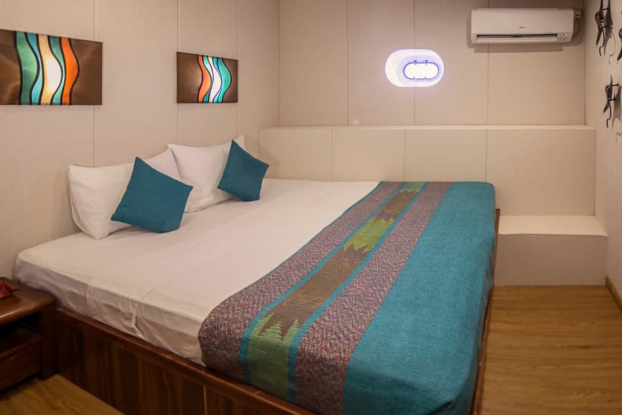 Standard Lower Deck - image