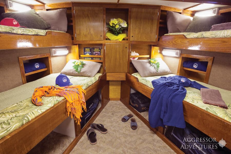 Quad Stateroom Lower Deck - image