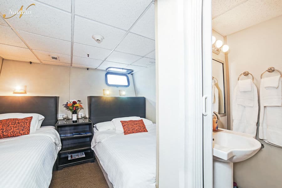 Single Stateroom Lower Deck - image