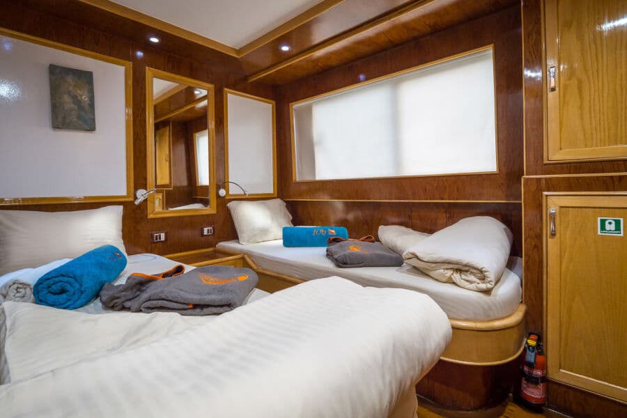 Twin Upper Deck - image