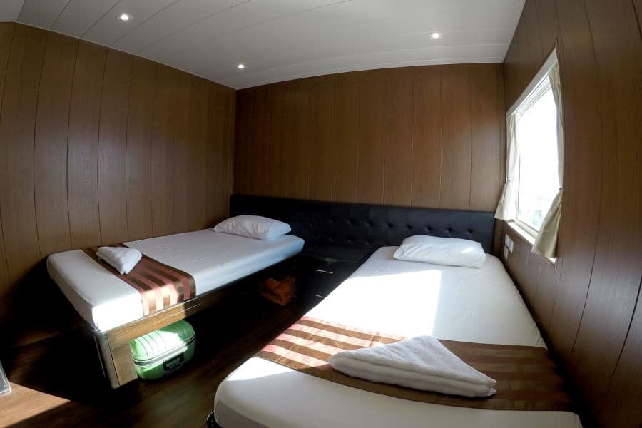 Premium Deluxe (Main & Upper Deck) - image