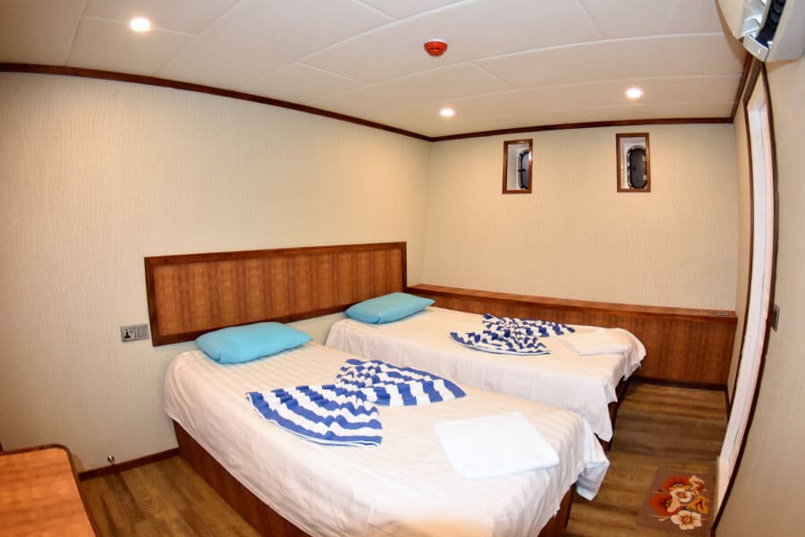 Twin Upper Deck - image