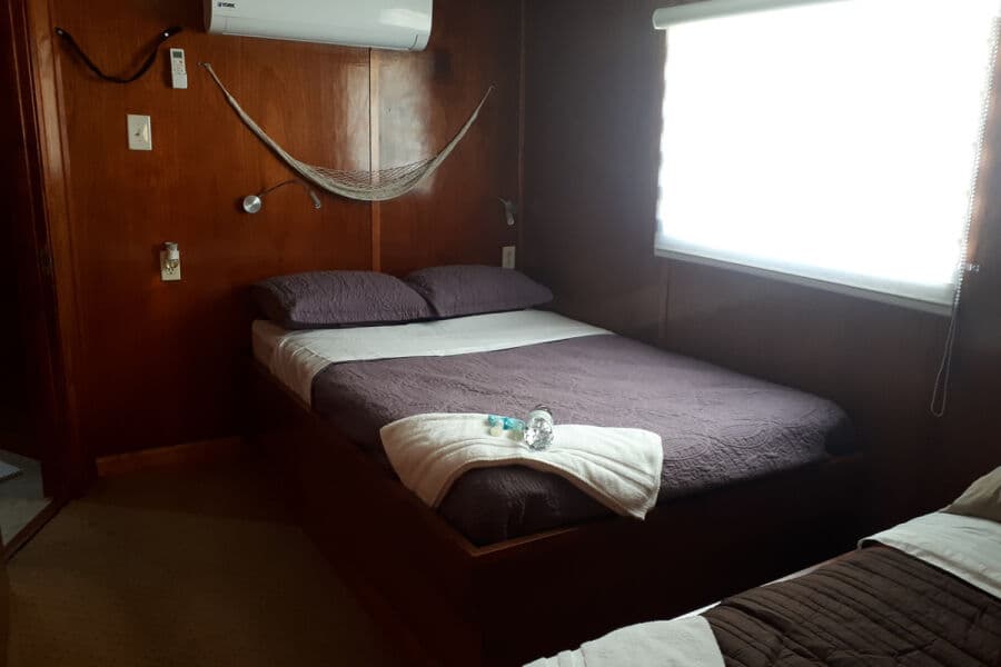 Suite Upper Deck - image