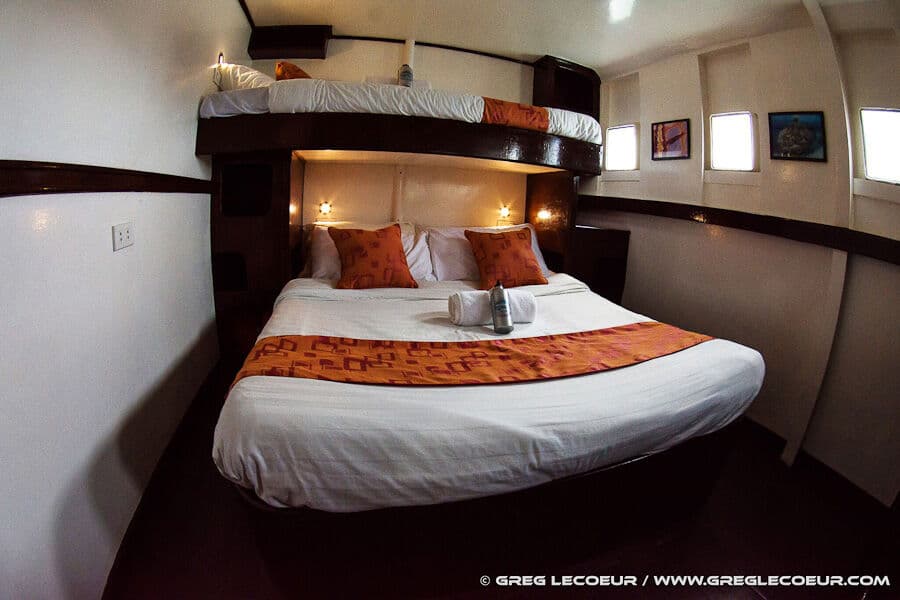 Deluxe Lower Deck - image