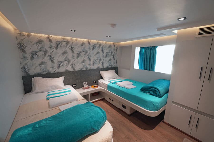 Suites & Twins Upper Deck - image