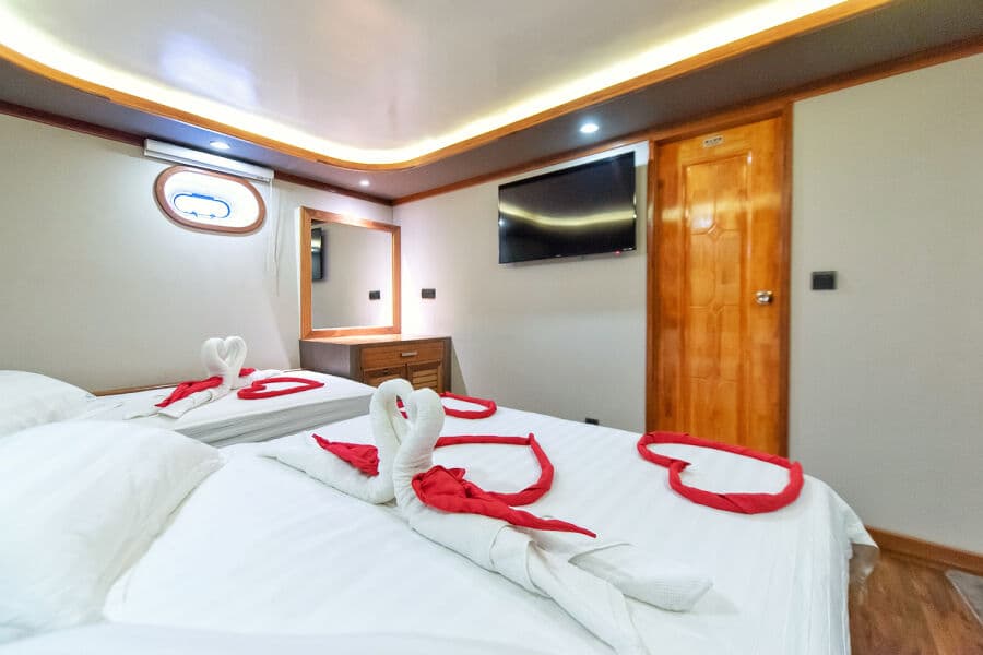 Standard room Lower Deck - image