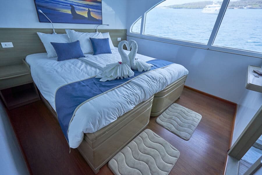 Double Upper Deck - image