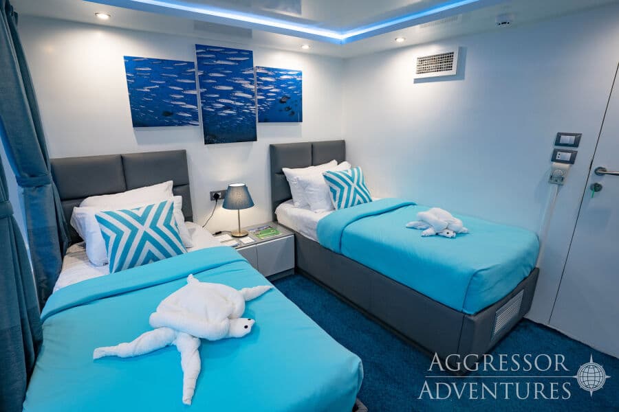 Deluxe Main Deck - image