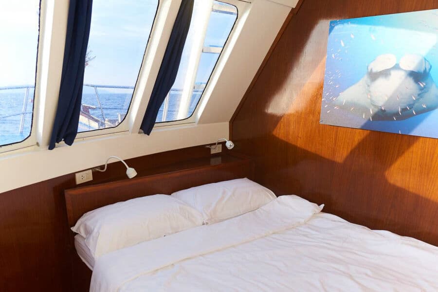 Master Main Deck - image