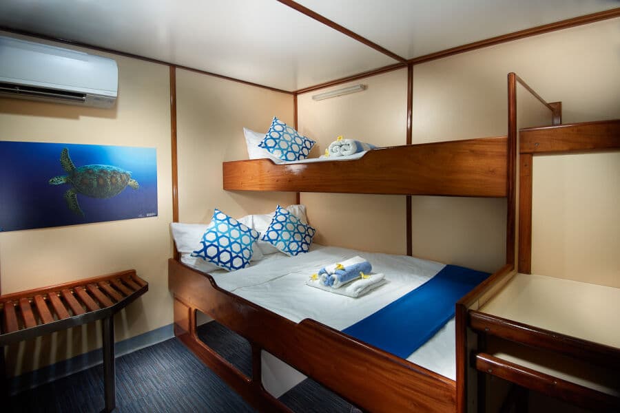 Classic Twin/Double Upper Deck - image