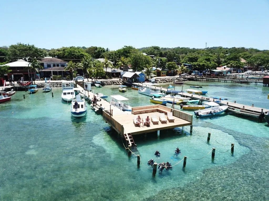Splash Inn Dive Resort Roatan - image