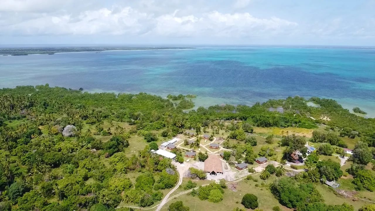 Utende Seacliff Resort - image