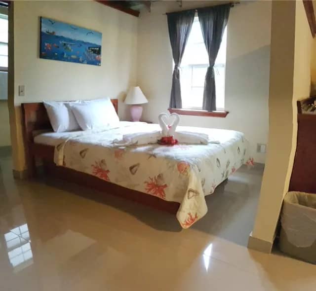 Coral - image Coral - image