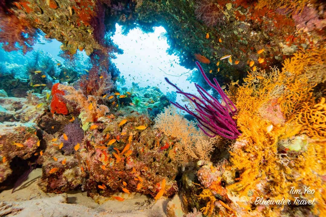 Egypt & Jordan Trip Recap 2023 - image Egypt & Jordan Trip Recap 2023 - image