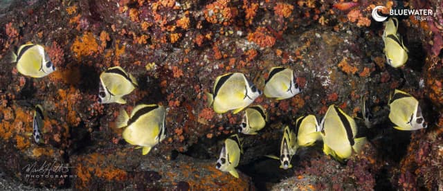 Explore Baja Trip Report October 2024 Explore Baja Trip Report October 2024