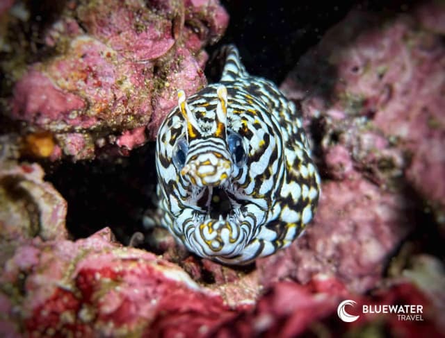 Oman Explorer Trip Recap 2025 Oman Explorer Trip Recap 2025