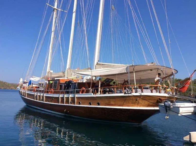 Maldives Dive Resorts vs Liveaboards - image Maldives Dive Resorts vs Liveaboards - image