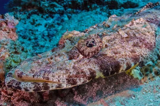 Zanzibar; Tanzania & Kenya - image Zanzibar; Tanzania & Kenya - image