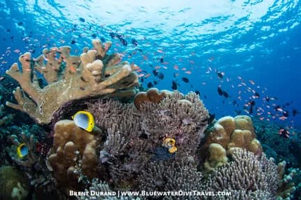 Manado And Bunaken - image Manado And Bunaken - image