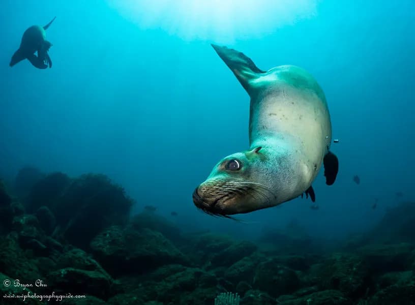 Carousel - image Carousel - image