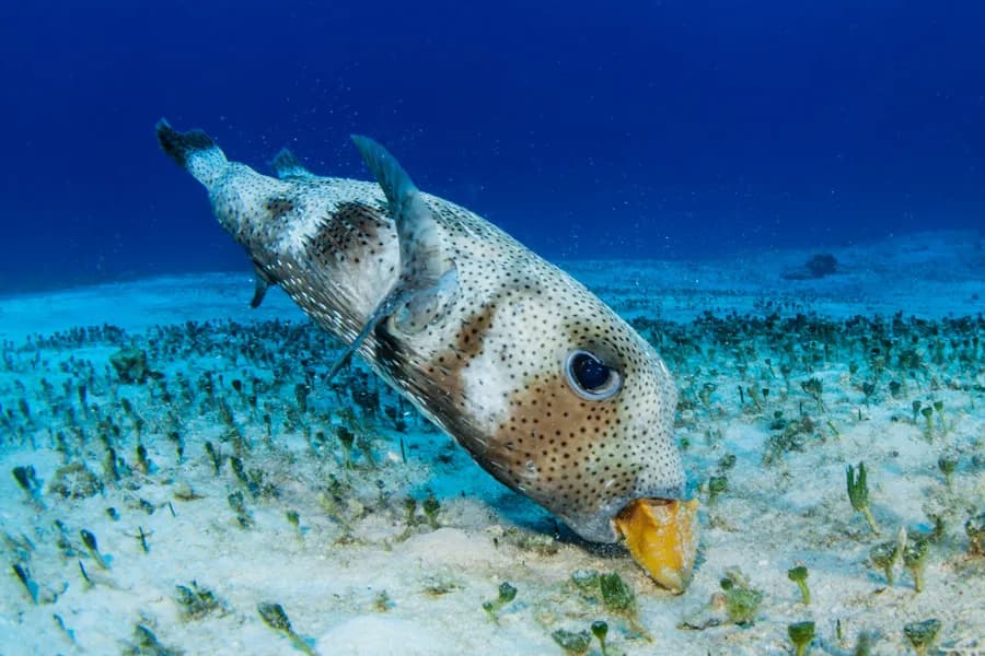 No alternative text provided No alternative text provided