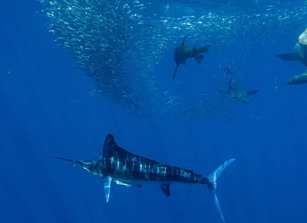 Carousel - image Carousel - image