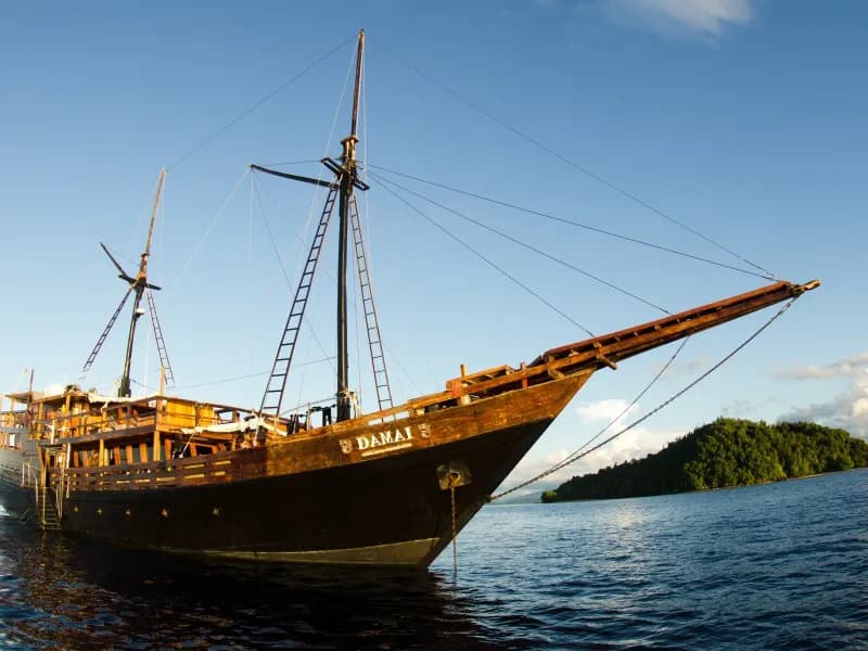 Damai I (Dive Damai Liveaboard) Damai I (Dive Damai Liveaboard)