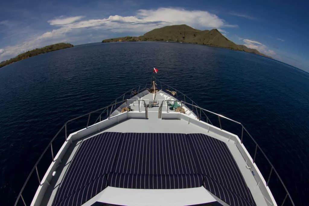 Mermaid II - image Mermaid II - image