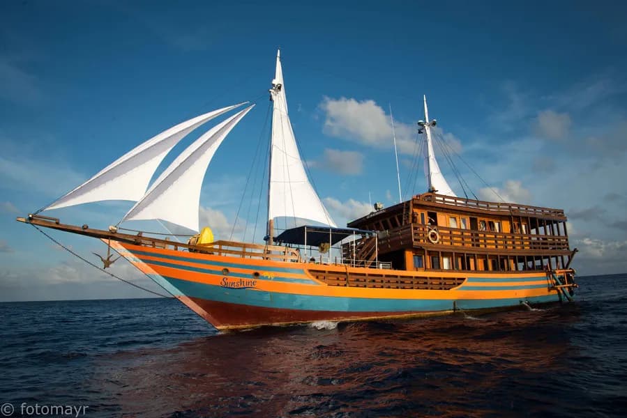 KLM Sunshine - image KLM Sunshine - image