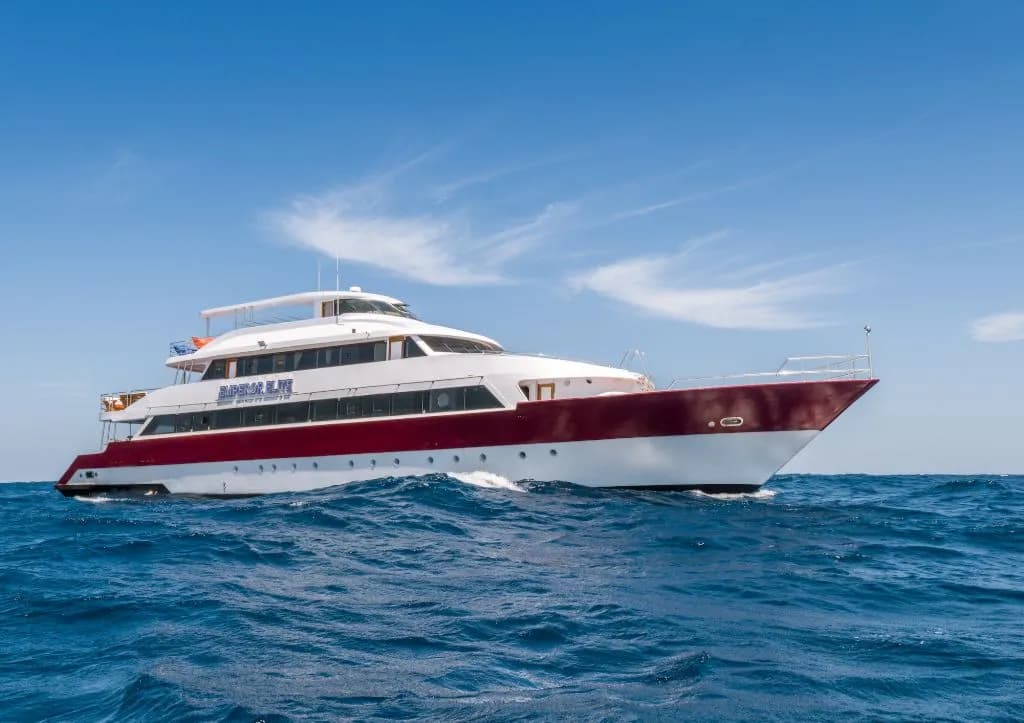 Emperor Elite - image Emperor Elite - image