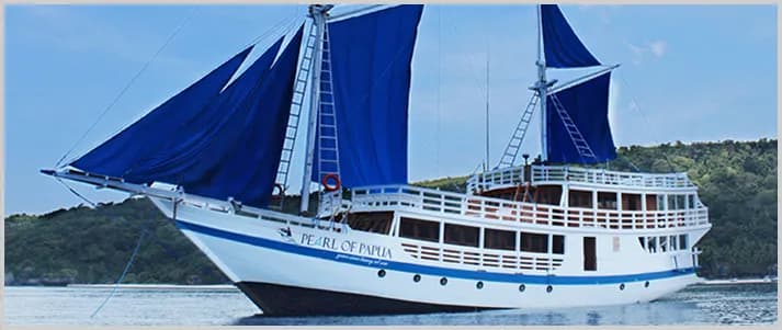 Pearl of Papua - image Pearl of Papua - image