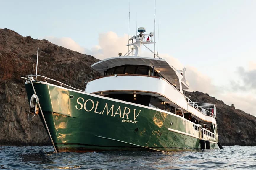 Solmar V - image Solmar V - image