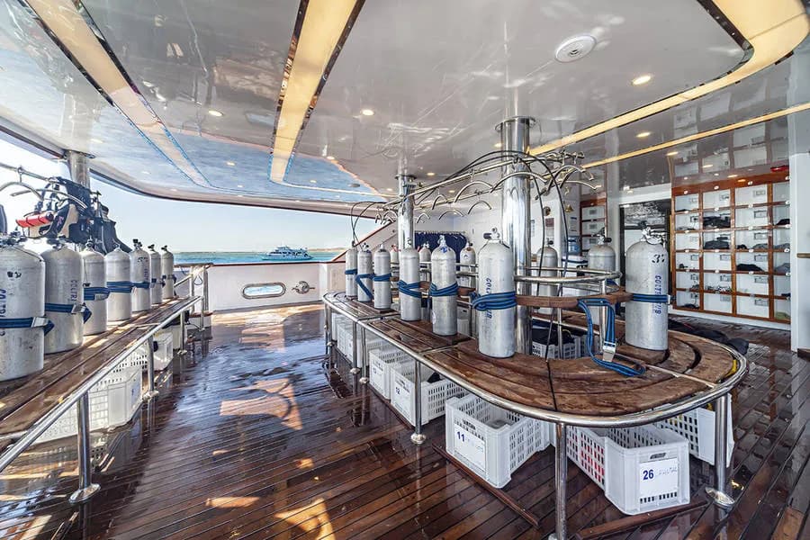 Silky - image Silky - image