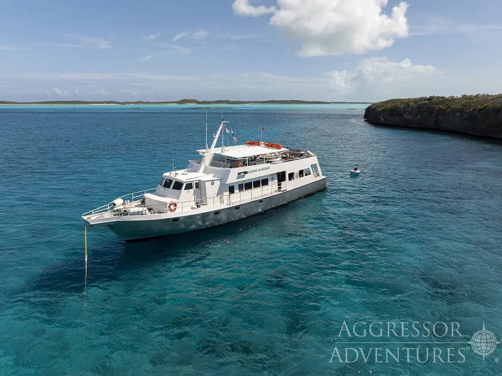 Bahamas Aggressor Bahamas Aggressor