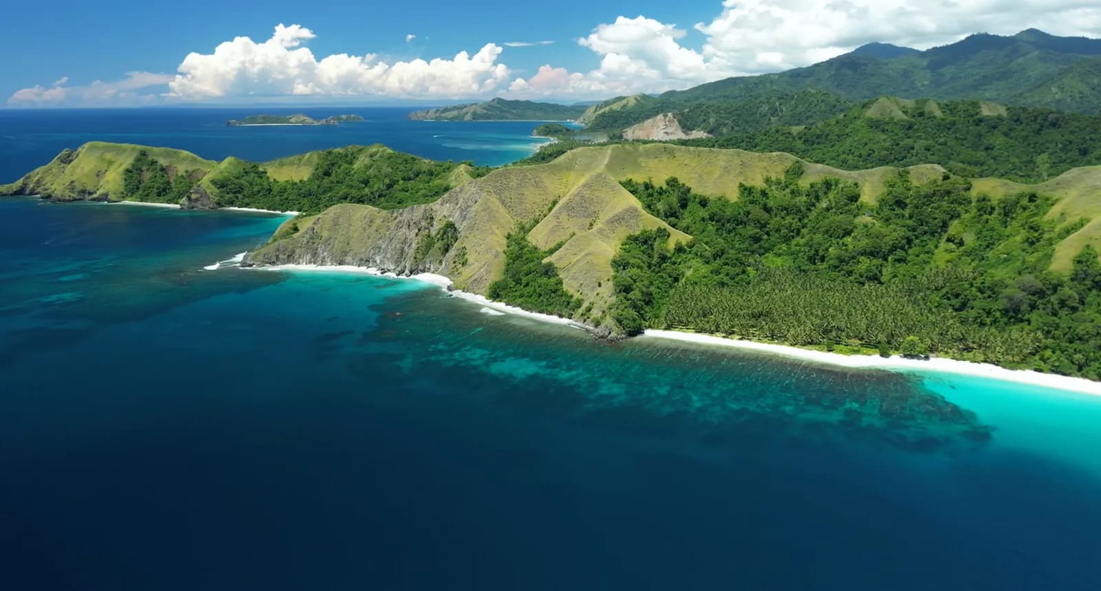 Tompotika Dive Lodge - image Tompotika Dive Lodge - image