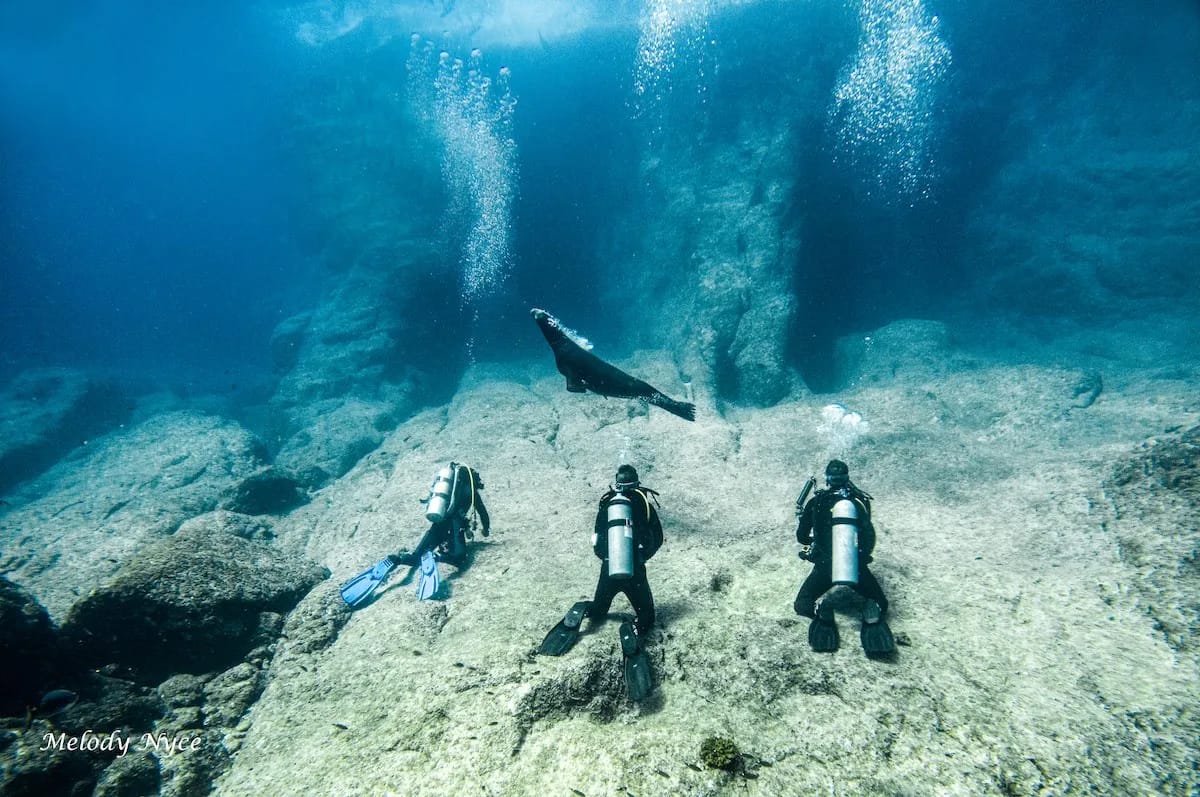 La Concha Resort - image La Concha Resort - image