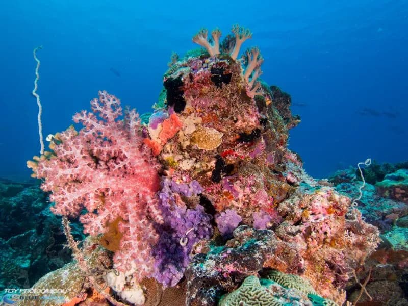 No alternative text provided No alternative text provided