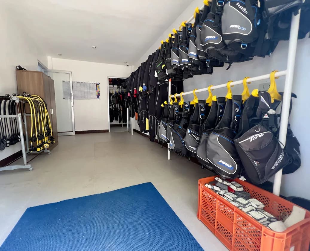 Carousel - image Carousel - image