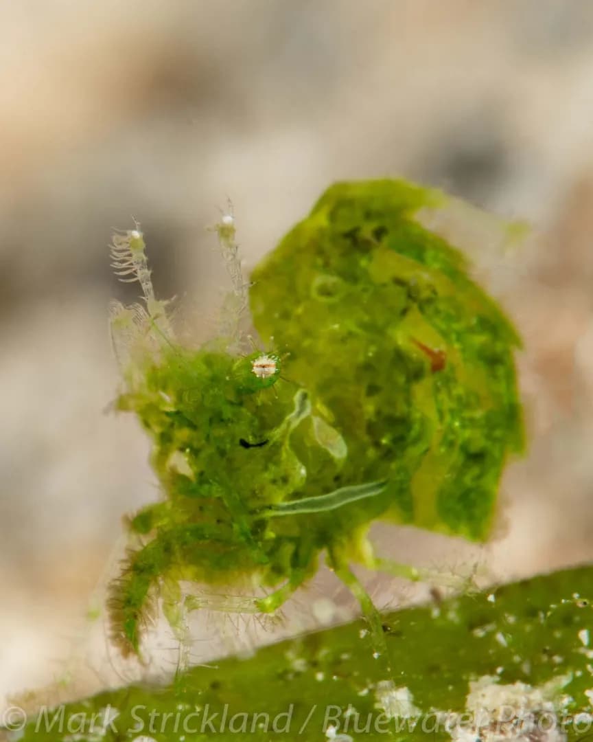 No alternative text provided No alternative text provided