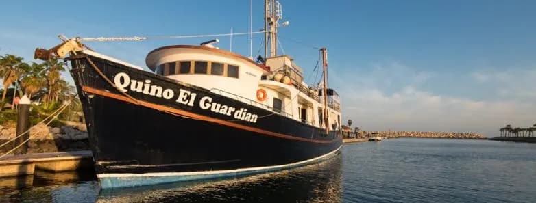 Sea Of Cortez Sea Of Cortez