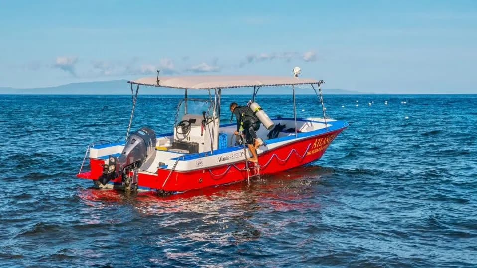 Carousel - image Carousel - image